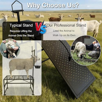 600 Lbs Adjustable Goat Milking & Trimming Stand with Feed Bin Ramp, Heavy Duty Steel Construction Ideal for Sheep & Goat Grooming, Hoof Trimming, and Milking, Livestock Care Equipment (Black)