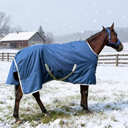 Winter 1200D Premium Turnout Horse Blanket,Medium Weight Waterproof Blanket - size: Back Length 81 inches ( 155cm ) no cover