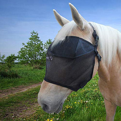 EquiVizor 95% UV Eye Protection (COB) Standard Horse Fly Mask - Help with Uveitis, Corneal Ulcer, Light Sensitivity. Designed to Stay On Your Horse, Off The Ground. - size: COB