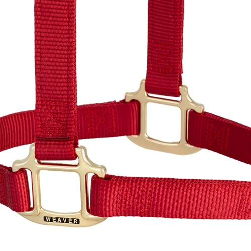 Weaver Leather Original Non-Adjustable Nylon Horse Halter, Small, Red
