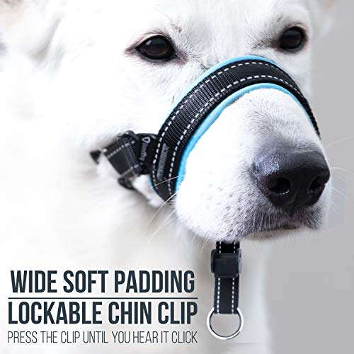 GoodBoy Dog Head Halter with Safety Strap - Stops Heavy Pulling On The Leash - Padded Headcollar for Small Medium and Large Dog Sizes - Head Collar Training Guide Included (Size 2, Blue) - color: Black Nylon / Blue Padding, size: Size 2 (Pack of 1)