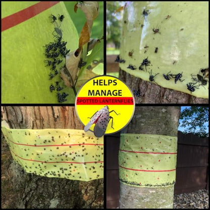 W4W, Giant Sticky Fly Trap Roll - MAX Strength - Outdoor/Indoor - Non Toxic - for Flies and Other Bugs (2 Pack- Contains 2 Giant Fly Rolls)