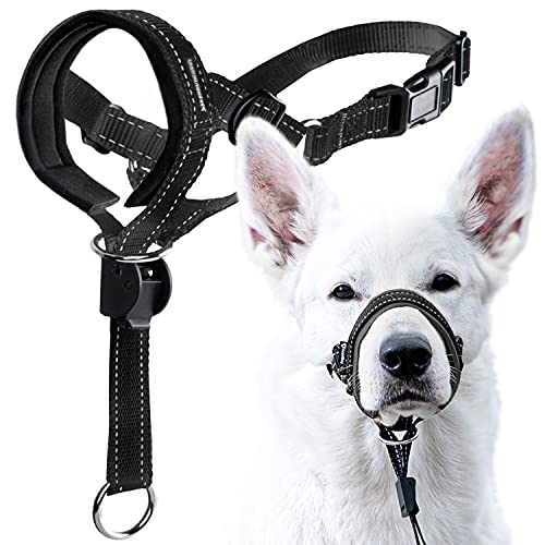 GoodBoy Dog Head Halter with Safety Strap - Stops Heavy Pulling On The Leash - Padded Headcollar for Small Medium and Large Dog Sizes - Head Collar Training Guide Included (Size 2, Black) - color: Black Nylon / Black Padding, size: Size 2 (Pack of 1)