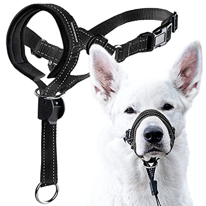 GoodBoy Dog Head Halter with Safety Strap - Stops Heavy Pulling On The Leash - Padded Headcollar for Small Medium and Large Dog Sizes - Head Collar Training Guide Included (Size 2, Black) - color: Black Nylon / Black Padding, size: Size 2 (Pack of 1)