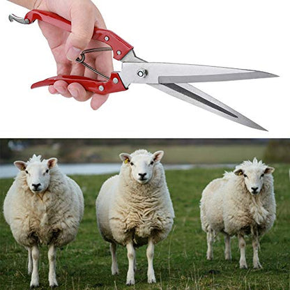 Generic Manual Stainless Steel Sheep Shears, with Spring Loaded Detachable Blade, for Livestock Trimming Shearing Sheep Rabbits Horses Pets