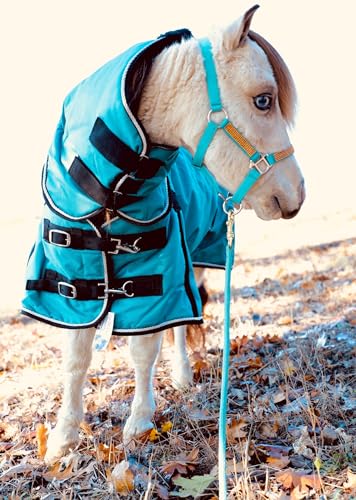 Mini-Pony Horse Ripstop Waterproof Windproof Blanket Hooded Lightweight Turnout Rain Sheet Breathable Lining 1200 Denier Material 350 Fill (46-48", Raspberry) - color: Raspberry, size: 46-48"