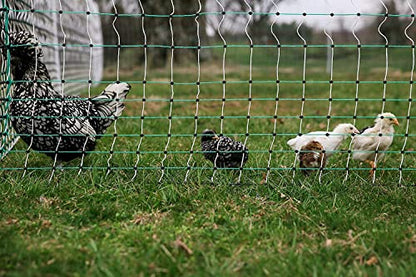 RentACoop 42" Electric Anti-Predator Poultry Fence and 0.6 Joule Plug-in Electric Fence Energizer Bundle