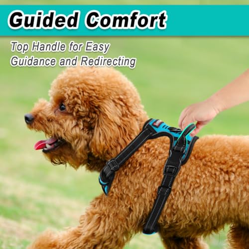 BARKBAY Dog Harness for Small Sized Dog No Pull 2 Leash Clips Dog Vest - color: Blue, size: X-Small