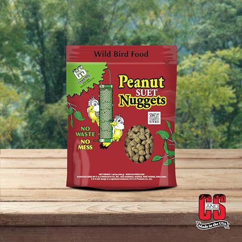 C&S Peanut Flavor Suet Nuggets, Bird Suet for Woodpeckers, 27 Ounces - size: 1.69 Pound (Pack of 1)