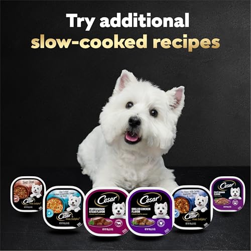 Cesar Loaf and Delights Wet Dog Food, Variety Lovers, 36 count, 2 pack - size: 3.5 Ounce (Pack of 72)