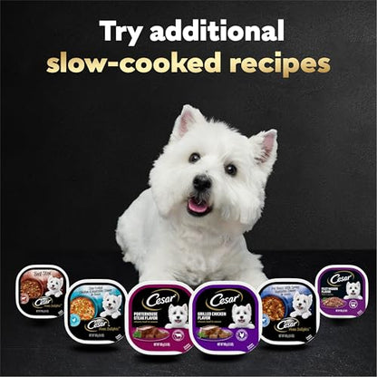 Cesar Loaf and Delights Wet Dog Food, Variety Lovers, 36 count, 2 pack - size: 3.5 Ounce (Pack of 72)