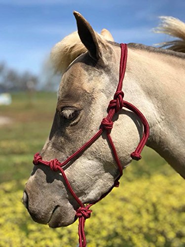 Mini-Pony 4 Knotted Rope Halter & 8' Lead Set (Burgundy, Small 32" & Under Mini) - color: Burgundy, size: Small 32" & under Mini