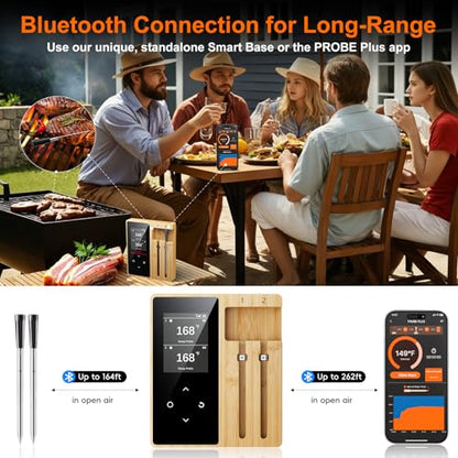Newise Wireless Meat Thermometer Digital - 2 Probes - style: 2 Probes