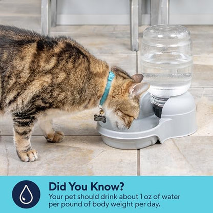 Aspen Pet Lebistro Cat and Dog Water Dispenser, Made in USA - color: Gray, size: Extra -Small