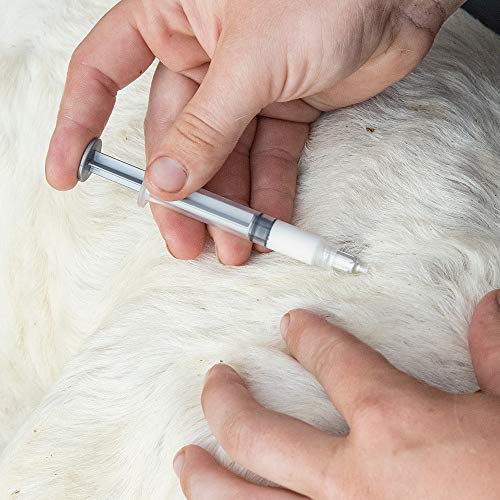 Premier 1 Supplies Shepherd's Lambing Essentials Kit