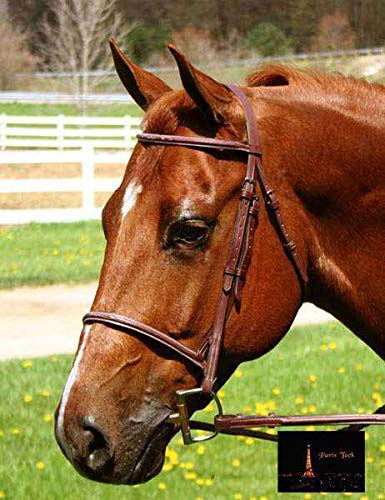Everyday Raised Fancy Stitched Leather English Schooling Bridle with Laced Reins St. Steel Hardware with 1 Year Warranty. - color: Chestnut, size: Warmblood