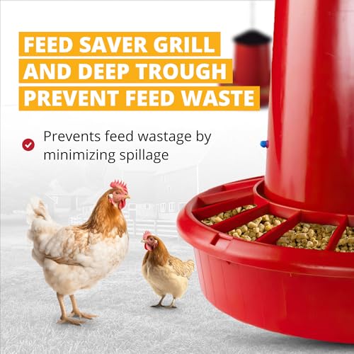 Stromberg's 50 lb Capacity Hanging Feed Saver Feeder | Large Capacity Durable Feeder with Feed Saver Grill.