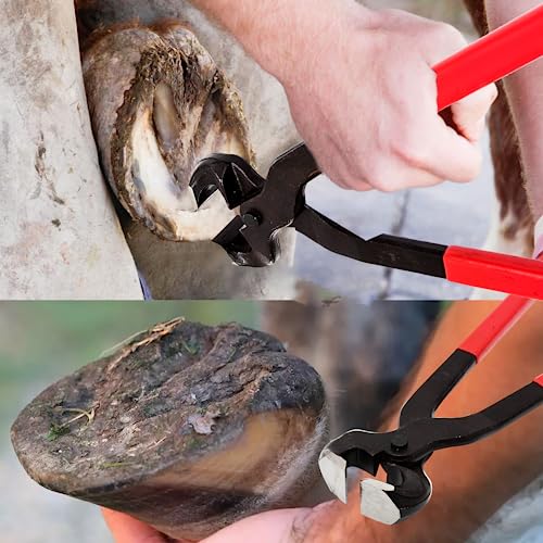 Hoypeyfiy Horse Hoof Nipper, 16 Inches Hoof Trimming Nipper,Horse Nail Clippers for Horses,Sheep,Goats,Alpacas,Veterinarians,Farm Supply