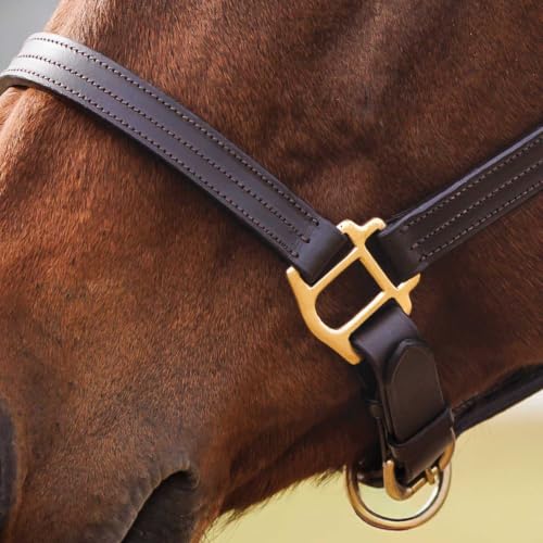 Country Pride Fairfield Triple Stitched Leather Halter - size: Cob