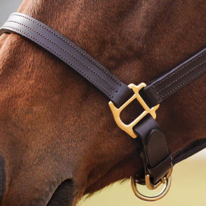 Country Pride Fairfield Triple Stitched Leather Halter - size: Cob