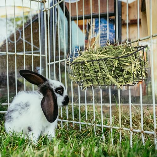 Rabbit Hay Feeder Bag Small Animal Hanging Feeding Sacks4Pcs