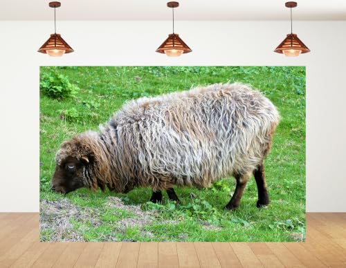 9x6ft Fluffy Wool Sheep Backdrop Curly Grey Brown Fur Fresh Green Meadow Grass Photography Background Tapestry Party Farm Animal Decorations Banner Photo Booth Props - size: 9x6ft