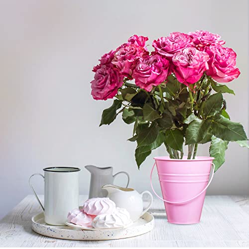Sadnyy 12 Pack 4.5 X 5 inch Pastel Metal Buckets - color: Pastel, size: 4.5 x 5 in