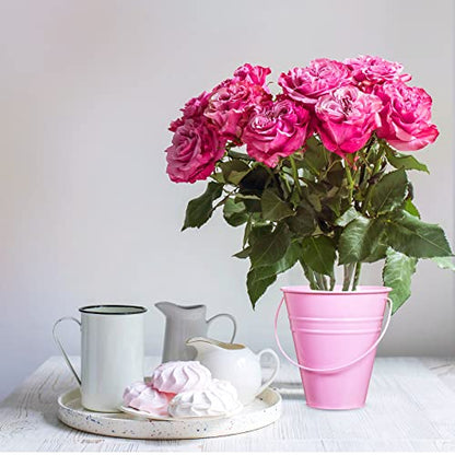 Sadnyy 12 Pack 4.5 X 5 inch Pastel Metal Buckets - color: Pastel, size: 4.5 x 5 in