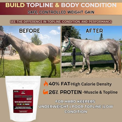 Pennwoods Body Builder 4000 Horse Weight Gain Fat Conditioner, 12 lb - size: 12 lb