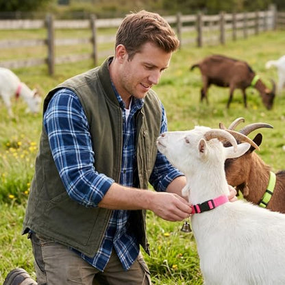 4Pcs Goat Collars with Bells, Nylon Animal Collars in Red Green Blue Pink Colors, Adjustable Farm Collar for Grazing Management and Animal Tracking, Durable Livestock Accessories for Small Farms