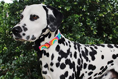 Limeloot Tie Dye Dog Collar for Female and Male Dogs, Small - color: Tie Dye, size: Small