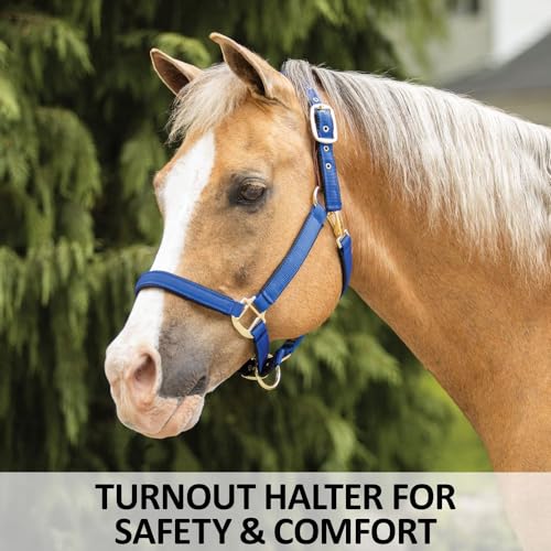 Dura-Tech Deluxe Fully Padded Breakaway Horse Halter | 1” Double Ply Nylon Web Overlay | Heavy-Duty Hardware | Semi Custom Fit | 3-Point Cheek Attachment - color: Black, size: Oversize