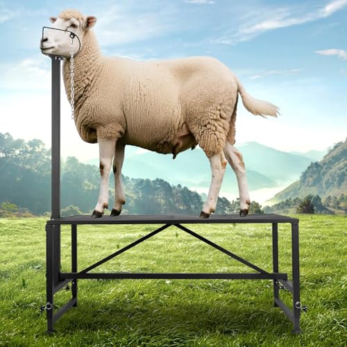 Goat Milking Stand, Metal Sheep Stand with 500lbs Capacity, Adjustable Height 20-32 Inch Goat Stand for Sheep Trimming and Milking, Hoof Stand for Goats and Lambs