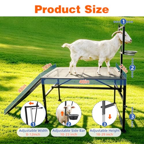 Adjustable Metal Goat Milking Stand，600LBS with Ramp & Feed Bin