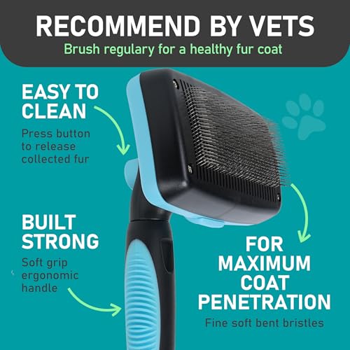 Maxpower Planet Dog Rake and Brush Set for Shedding, Undercoat & Mats - color: A - Rake & Brush (Best Value), size: Large