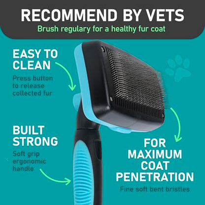 Maxpower Planet Dog Rake and Brush Set for Shedding, Undercoat & Mats - color: A - Rake & Brush (Best Value), size: Large