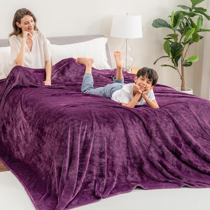 Berkshire Blanket VelvetLoft Big Oversized King Family Blanket, All Season Mid-Weight Ultra Silky and Fuzzy, Seamless Extra Large (Eggplant, 120x120 Inches) - color: Eggplant, size: Oversized King