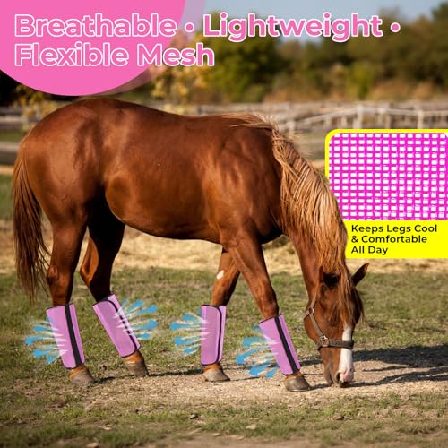 Fly Boots for Horses Set of 4 – Horse Fly Boots with Anti-Sag Stays & Breathable Mesh, Reduces Stomping & Fatigue, Curved-Edge Design for Natural Motion, Comfort Fit for Medium to Large Horses