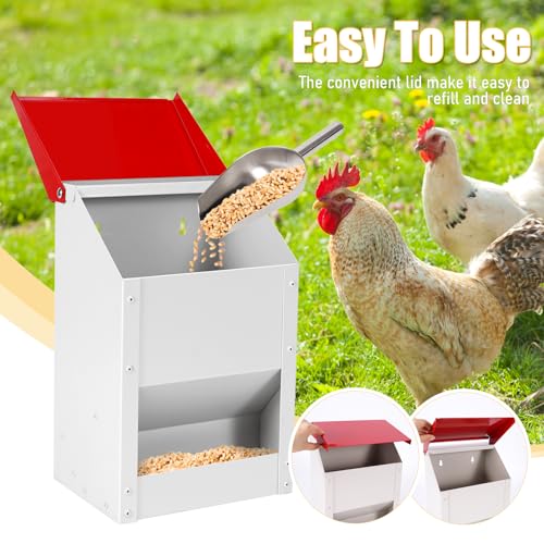 Automatic Chicken Feeder 10lb Hanging Feeder Trough with Scoop | Wall Mounted Poultry Feeder Trough, Galvanized Metal Gravity Chicken Feeder, for Chickens Ducks Goose Poultry
