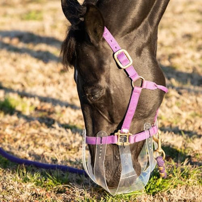 ThinLine Flexible Filly Grazing Muzzle | Lightweight Safe Comfortable Ventilated Equine Slow Feed Halter Mounting Clear Horse Mask, Oversize/Draft, 3.5+cm Hole