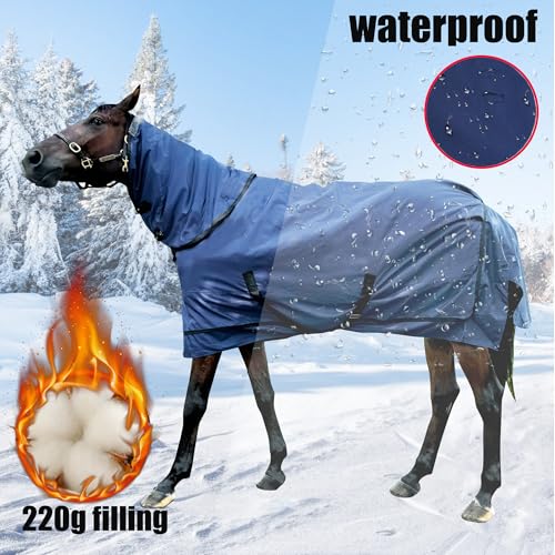 Waterproof Horse Turnout Blanket - Medium Weight Winter Blanket (220g Fill) with Detachable Neck Cover - Blue - 78 in - size: 78 in