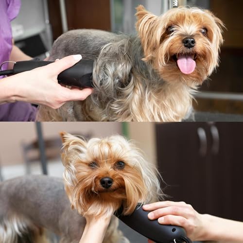 Detachable A Series 8 1/2 Blade Dog Grooming Clipper Blade Cuts Length 7/64" - 2.8mm Japanese Carbon Steel 8 1/2 Clipper Blade | 2.8mm Clipper Blade (Compatible A5 Series(B812) - color: 812 (7/64" - 2.8mm)