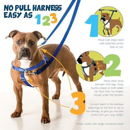 2 Hounds Design Freedom No Pull Dog Harness and Leash, 1" XXL, Burgundy - color: Burgundy, size: XXL (Chest 38" - 44")