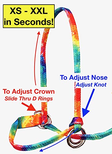 Extra Small - Sheep, Goat, Small Calf Adjustable Halter & Lead USA 250-700bs (Neon Lime Green)