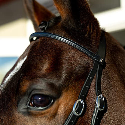 HORZE Genuine Leather Cross-Under Bitless Bridle | Includes Web Reins with Hand Stops - size: Cob