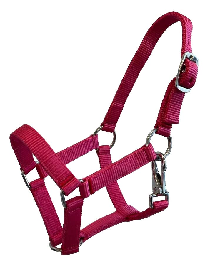 Nylon Foal Halter - color: Pink