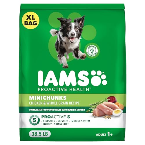 IAMS Proactive Health 성인용 Minichunks 건식 개 사료, 닭고기, 17.5kg(37파운드) - size: 38.5 Pound (Pack of 1)