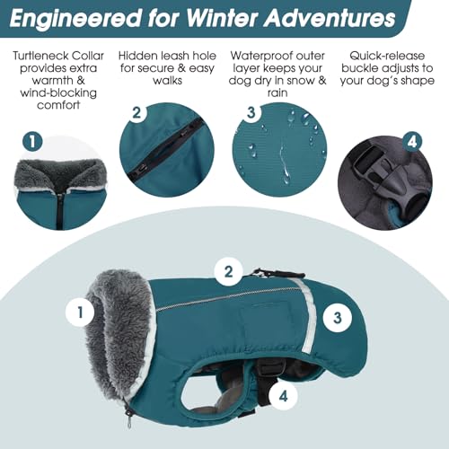 QBLEEV Warm Dog Coat, Reflective Dog Jacket, Waterproof Dogs Winter Coat - color: Aqua, size: Small
