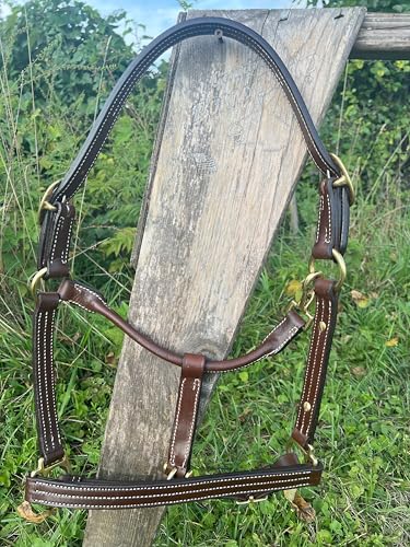 Leaders Leather Halter for Horses with Customized Engraved Name Plate Option Halter for Horse - size: Horse Size