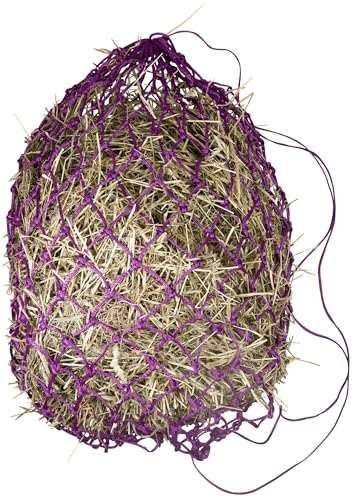 GatsbyGatsby Slow Feed Hay Net - color: Royal, size: 40''